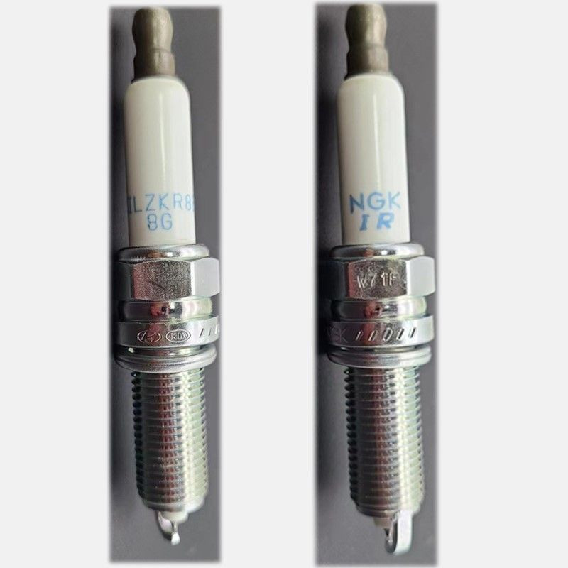 PLUG ASSY-SPARK